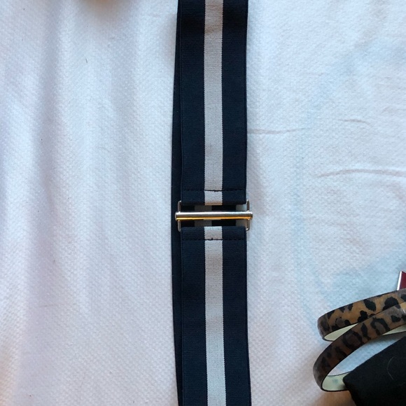 BCBG Stretchy Belt
